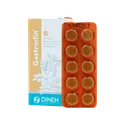 قرص گاسترودین دینه | Gastrodin Tablet - Dineh