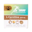 ویال ال کارنیتین 3000 مکس اونیو | L Carnitine Oral Solution 3000 mg - MAX AVENUE