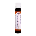 ویال ال کارنیتین + قهوه سبز یوروویتال | L-Carnitine + Green Coffee Drinking Vial - Eurho vital 