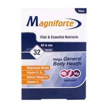 کپسول مگنیفورت هولیستیکا | Magniforte Capsule - Holistica