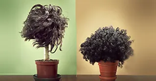 رازهای رشد سریع مو؛ چگونه موهای خود را بلند کنیم؟