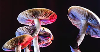 سیلوسایبین، رقیب سرسخت و قدرتمند داروهای ضد افسردگی!