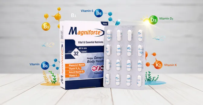 ترکیبات مگنیفورت چیست؟