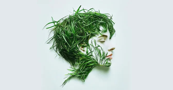 قویترین گیاه ریزش مو چیست؟ بهترین داروی گیاهی برای ریزش مو