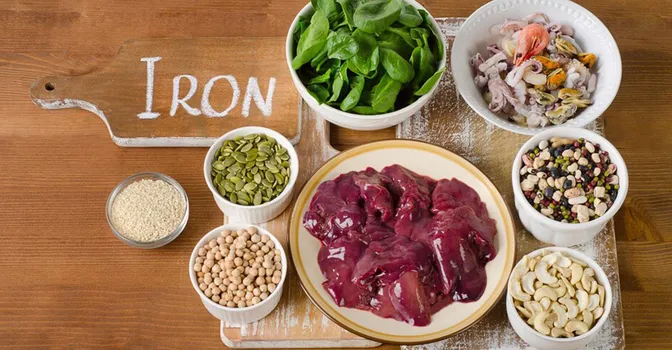 21 ماده غذایی سرشار از آهن چه هستند؟