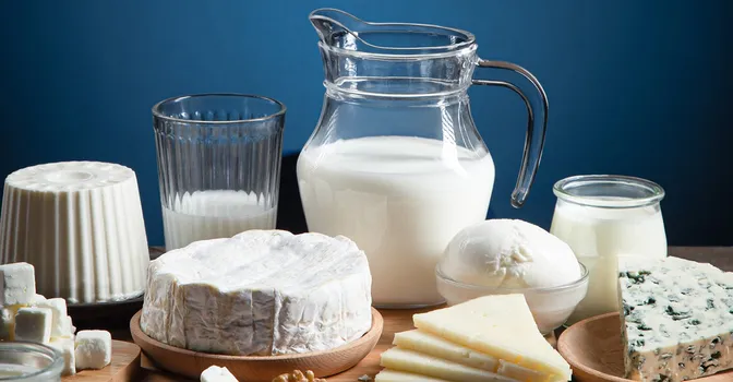 لیست کامل منابع طبیعی و غذاهای پروبیوتیک