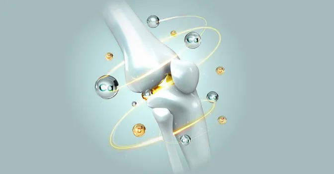راهنمای افزایش جذب کلسیم​؛ به فکر استخونات باش!
