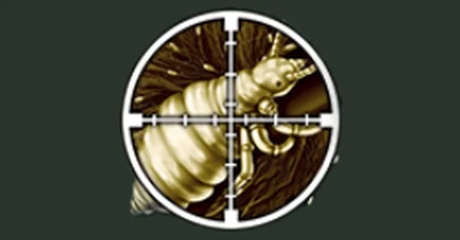 مراقبت‌های لازم پس از درمان شپش؛ چگونه از بازگشت این موجودات جلوگیری کنیم؟