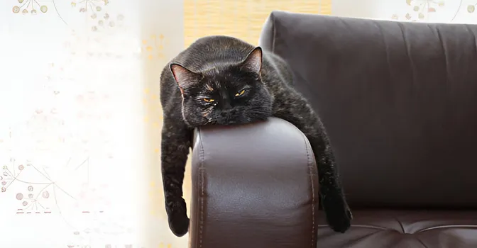 چگونه افسردگی بعد از تعطیلات را پشت سر بگذاریم؟