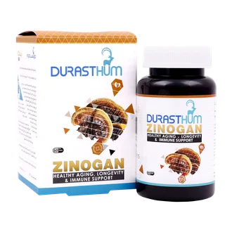 تصویر کپسول زینوگان دورست هوم